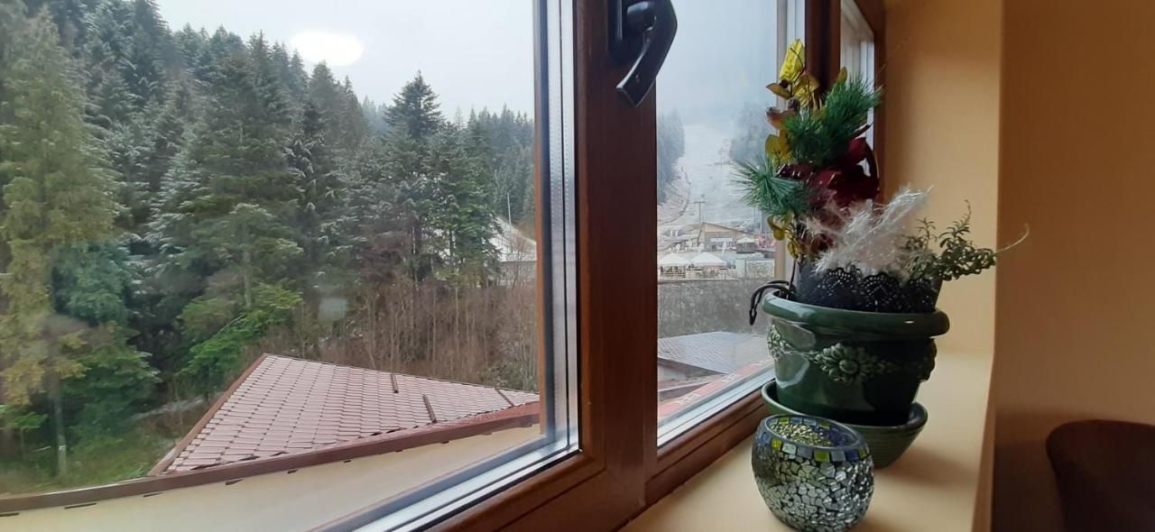 Kalinderu Skier'S Apartament Bellevue Buşteni Eksteriør bilde