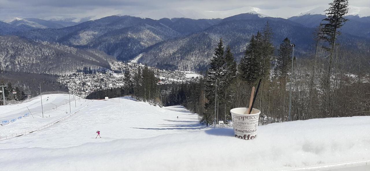 Kalinderu Skier'S Apartament Bellevue Buşteni Eksteriør bilde