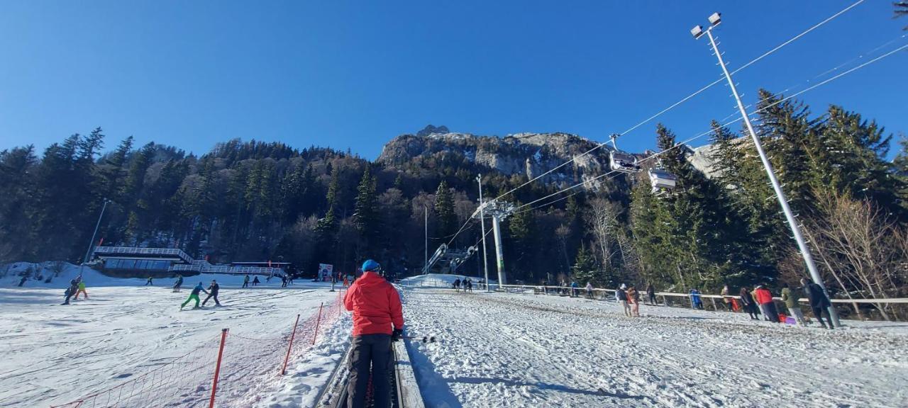Kalinderu Skier'S Apartament Bellevue Buşteni Eksteriør bilde